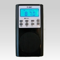 Spirit Box