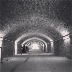 Fort Horsted