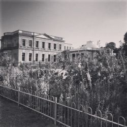 Northwood House